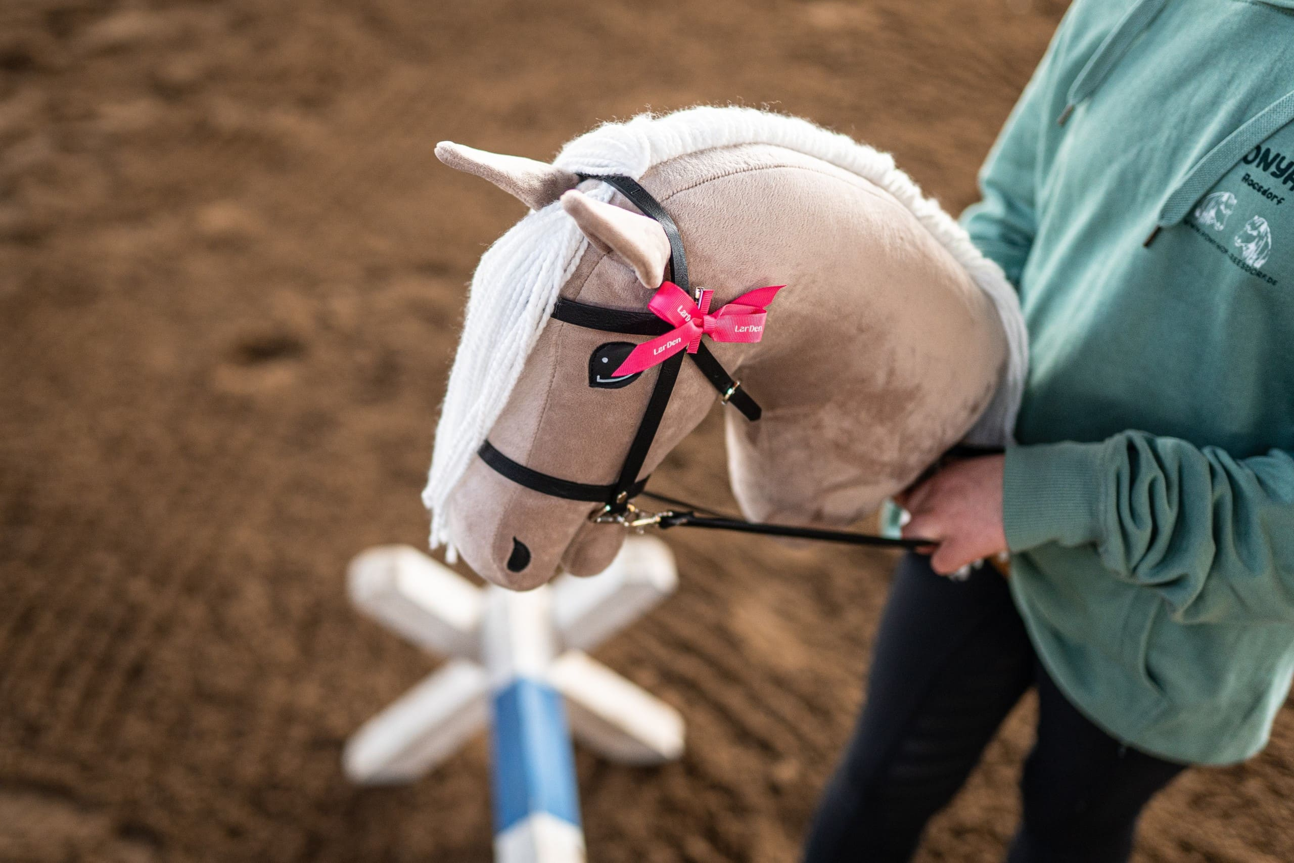 Hobby Horsing