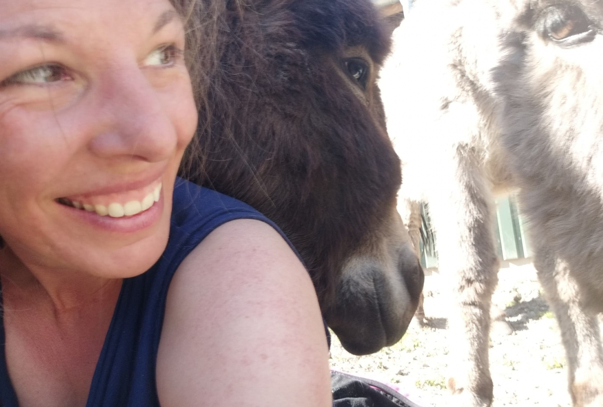 Yenna Selfie mit Esel