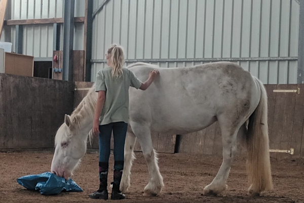 Flyer Yong und Yang Yoga