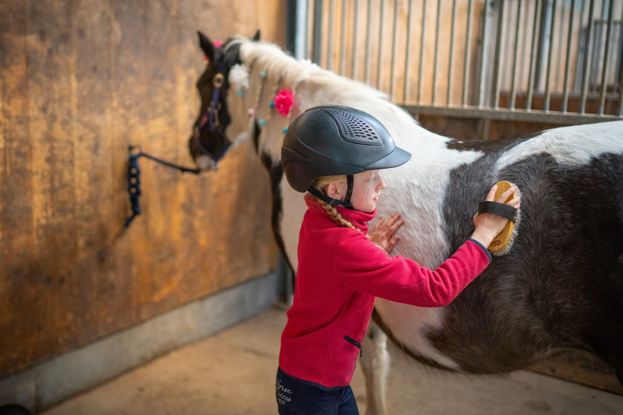 Pony putzen