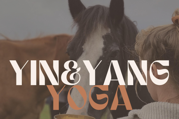 Flyer Yong und Yang Yoga
