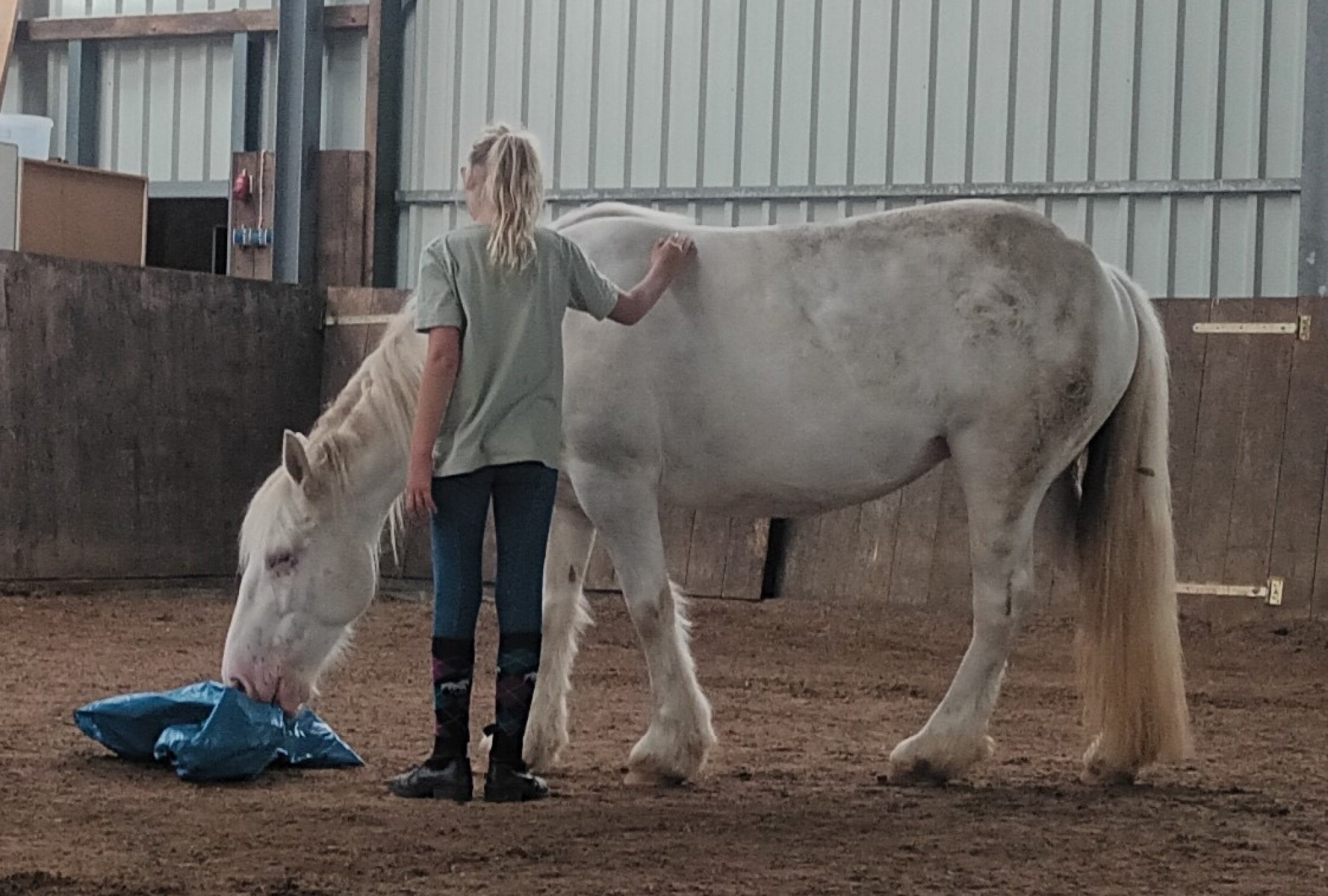 Kind mit Pferd